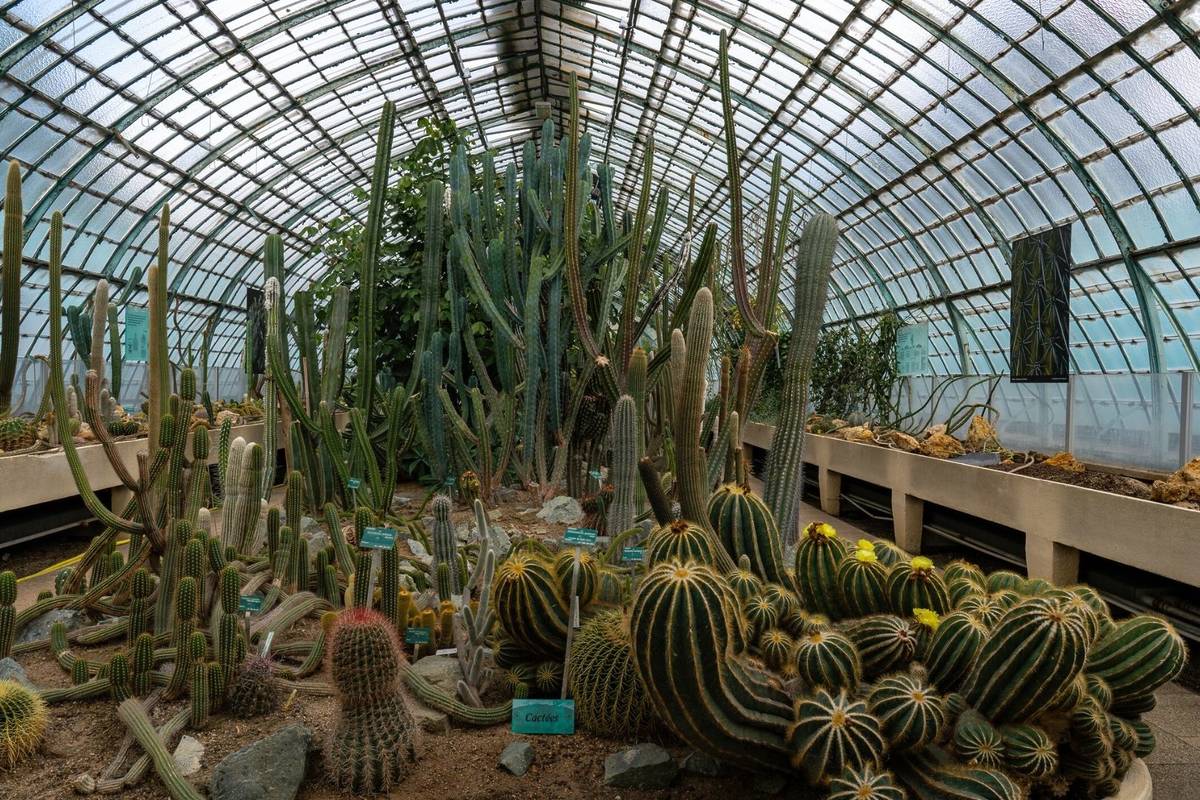 jardin serres