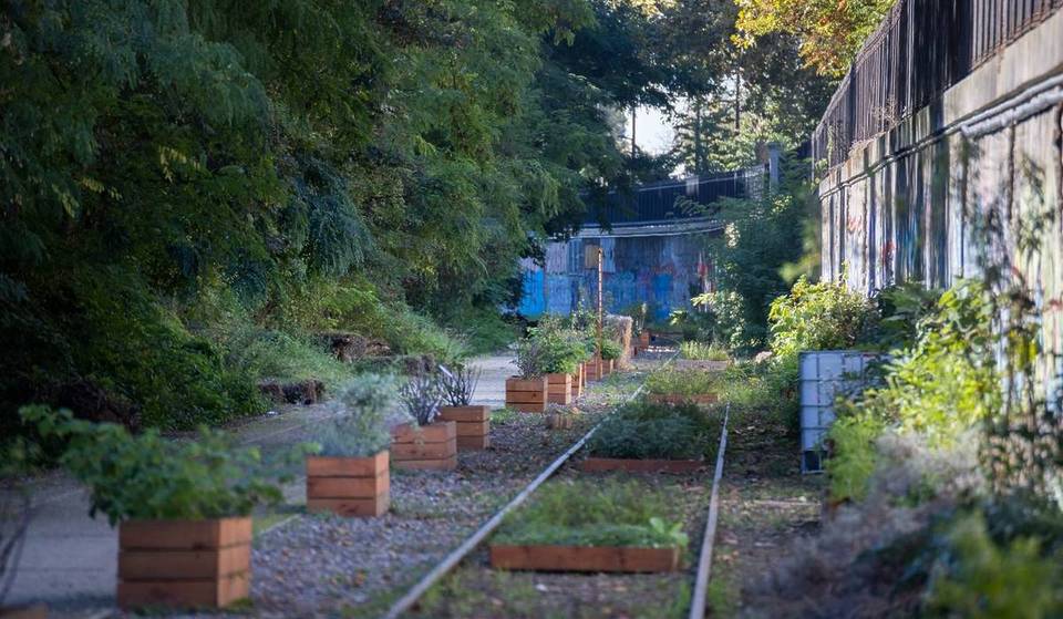 7 500 m² de verdure sur les rails : cette guinguette de la Petite Ceinture rouvre enfin ses portes ce week-end
