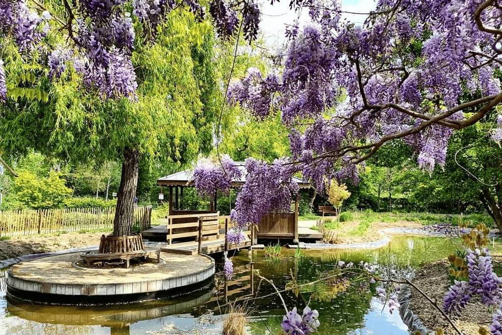À deux pas de Paris, ce parc méconnu de 1,2 hectare ressemble au jardin de Monet à Giverny… et c’est maintenant qu’il est le plus spectaculaire