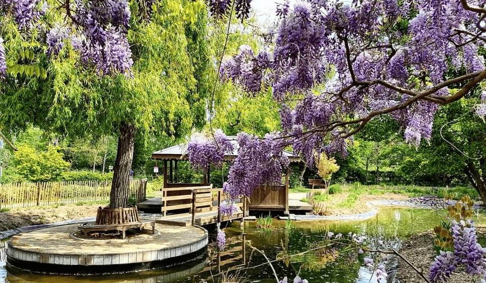 Nur einen Katzensprung von Paris entfernt, ähnelt dieser wenig bekannte, 1,2 Hektar große Park Monets Garten in Giverny… und gerade jetzt ist er am spektakulärsten