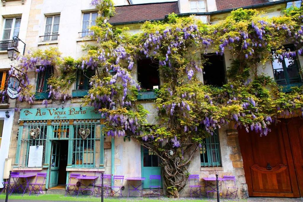 Terrasse mit Glyzinie