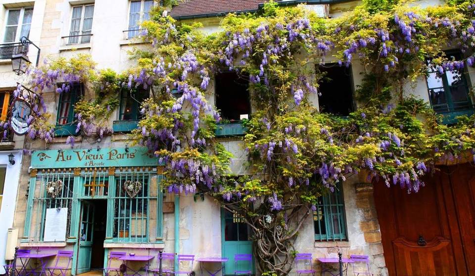 „Wahrscheinlich die schönste Terrasse von Paris“: Dieses historische Restaurant aus dem 16. Jahrhundert verbirgt die beeindruckendste Glyzinie der Hauptstadt