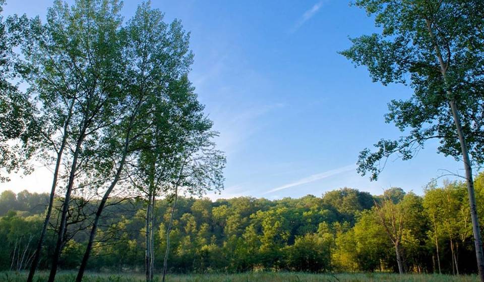 Questo gioiello naturale poco conosciuto, a meno di un’ora da Parigi, ospita orchidee rare e uccelli migratori