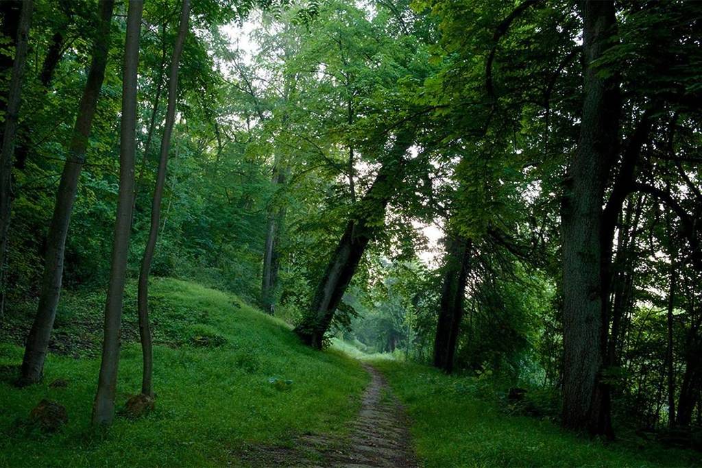 Stors Marsh