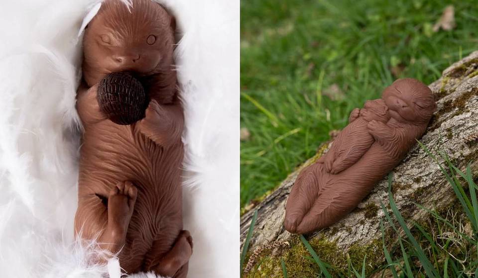 Oubliez les œufs et les lapins : dans le Marais, ces irrésistibles loutres en chocolat affolent déjà les gourmands… et elles pourraient bien disparaître avant Pâques !