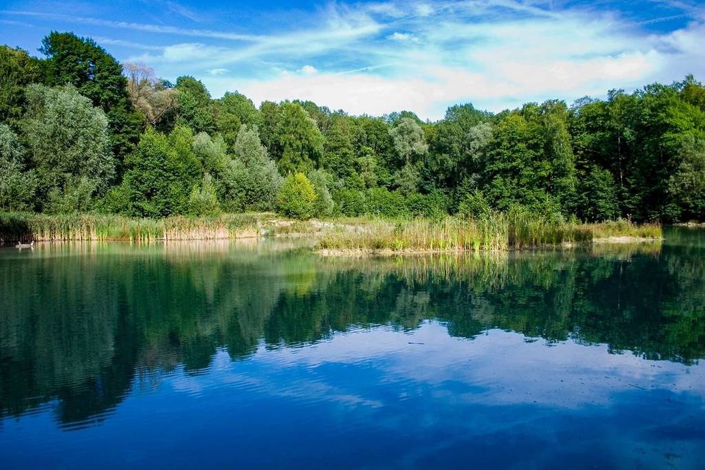 forêt