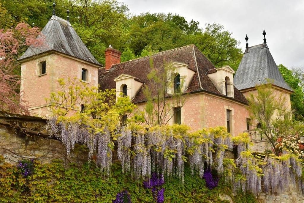 village wisteria