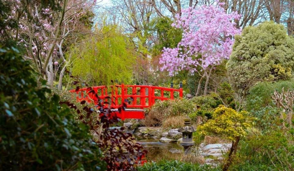 Ce somptueux jardin de 9 000 m² à 30 min de Paris vous transporte directement au Japon… et il vient de rouvrir pour le printemps