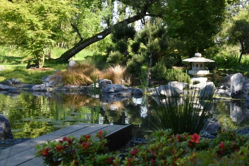 jardín japonés