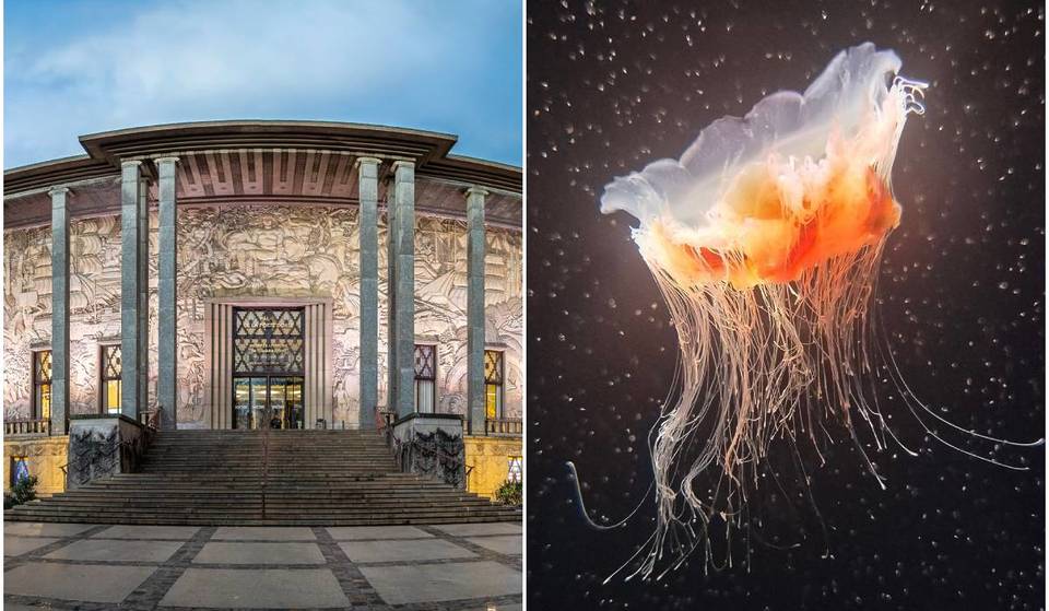 Este palacio Art Déco en el corazón de París alberga un acuario tropical con 13 500 peces, 400 colonias de corales y la mayor colección de medusas de Europa; su terraza es el lugar ideal para los días soleados