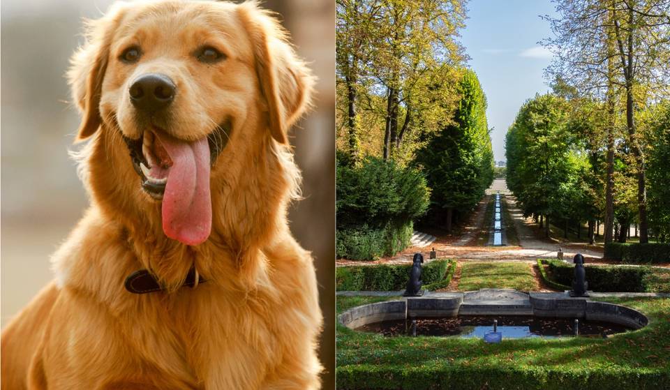 A finales de mayo, tendrá lugar una carrera solidaria de 10 km a beneficio de los animales en este sublime dominio protegido de más de 400 hectáreas a 20 minutos de París… y tú puedes participar