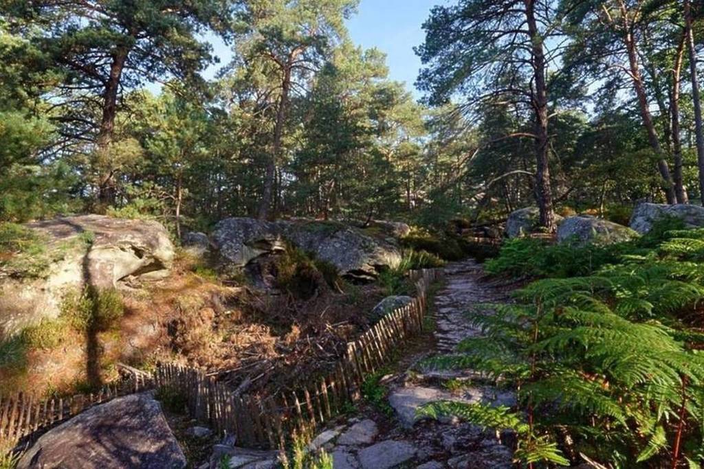 Wanderung Fontainebleau