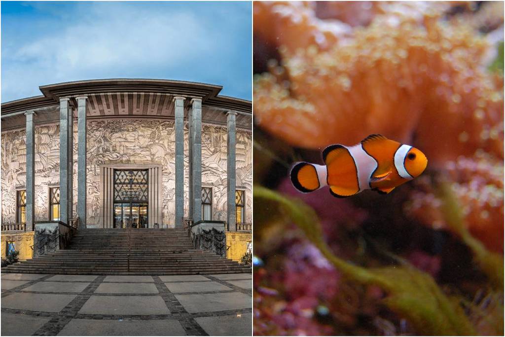 This Art Deco palace in the heart of Paris is home to a tropical aquarium with 4,400 animals and 350 species, as well as the National Museum of the History of Immigration—its terrace is the perfect spot for sunny days
