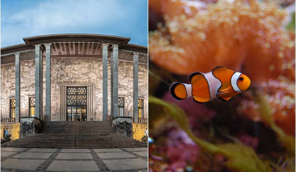 Questo palazzo Art Déco nel cuore di Parigi ospita un acquario tropicale con 4.400 animali, 350 specie e il Museo Nazionale della Storia dell’Immigrazione: la sua terrazza è il posto perfetto per le belle giornate