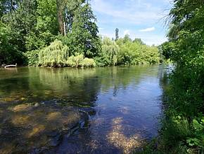 Just an hour from Paris, this nature reserve is home to 100 hectares of ponds and marshes