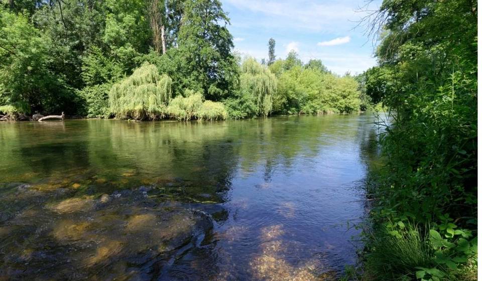 Nur eine Stunde von Paris entfernt verbirgt dieses Naturschutzgebiet 100 Hektar Teiche und Sümpfe
