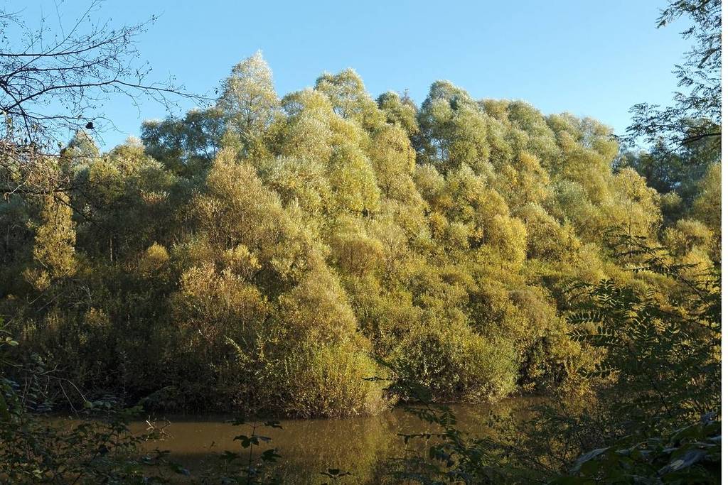 Plaine de Sorques