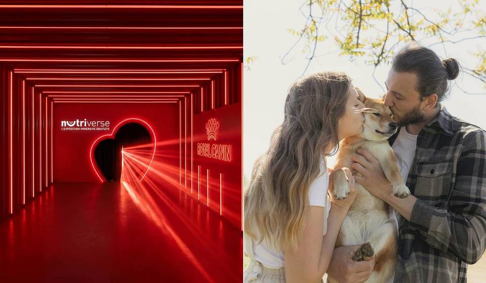 Une expérience immersive gratuite à tester avec votre chien ou chat ouvre ses portes à la Gaîté Lyrique