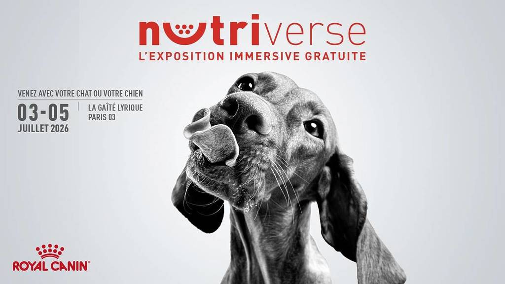 Nutriverse by Royal Canin® 3