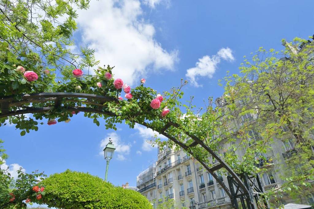 Promenade Pereire Paris paradis des roses printemps été