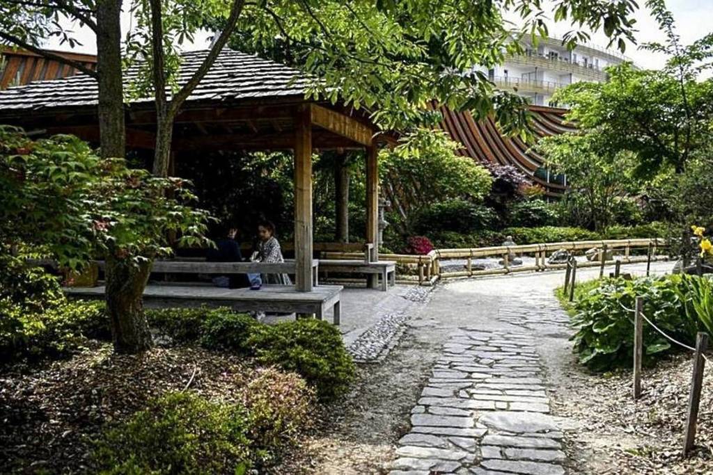 Japanse tuin