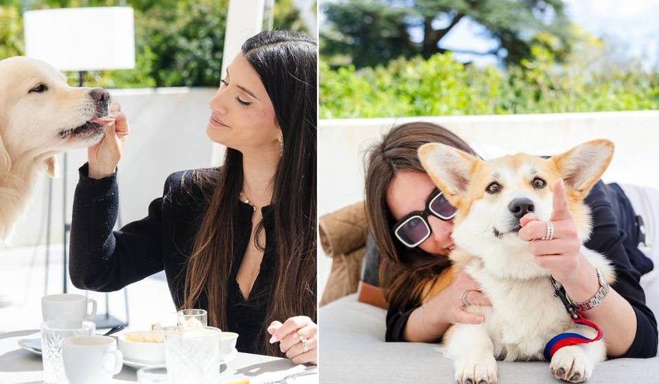 A 20 minutos de Paris, este hotel de 4 estrelas lança um brunch à discrição reservado aos cães, com um parque gigante de 14 hectares onde podem correr à vontade