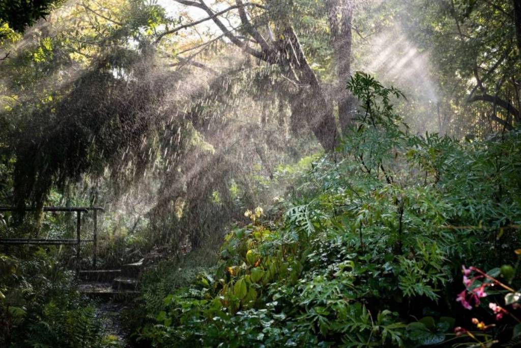jardin alpin