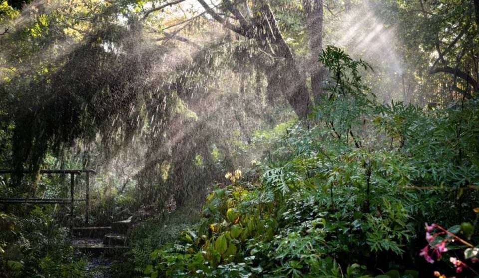 This secret garden in the 5th arrondissement is home to more than 2,000 mountain plants
