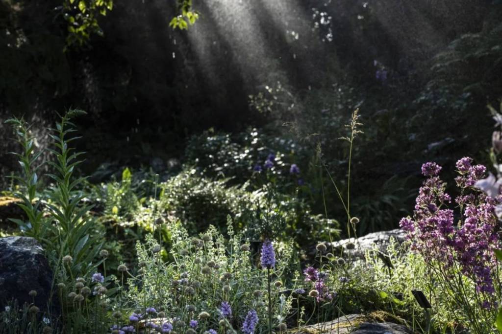 jardin alpin