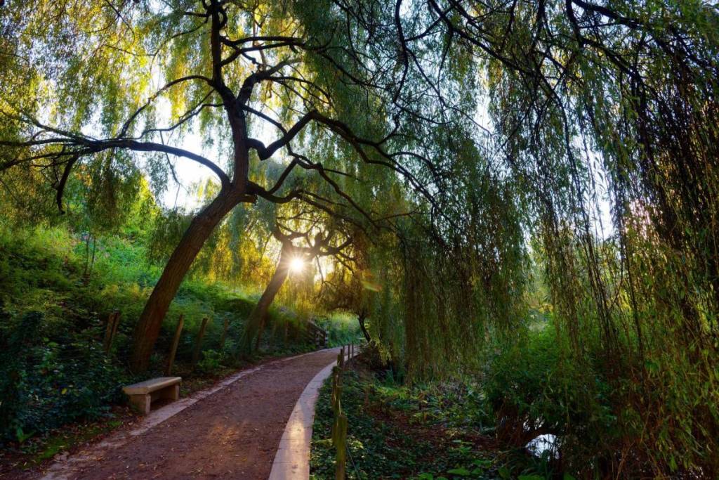 Much less crowded than Parc Monceau, this 14-hectare park is one of Paris’s most beautiful green retreats to escape the heat this summer