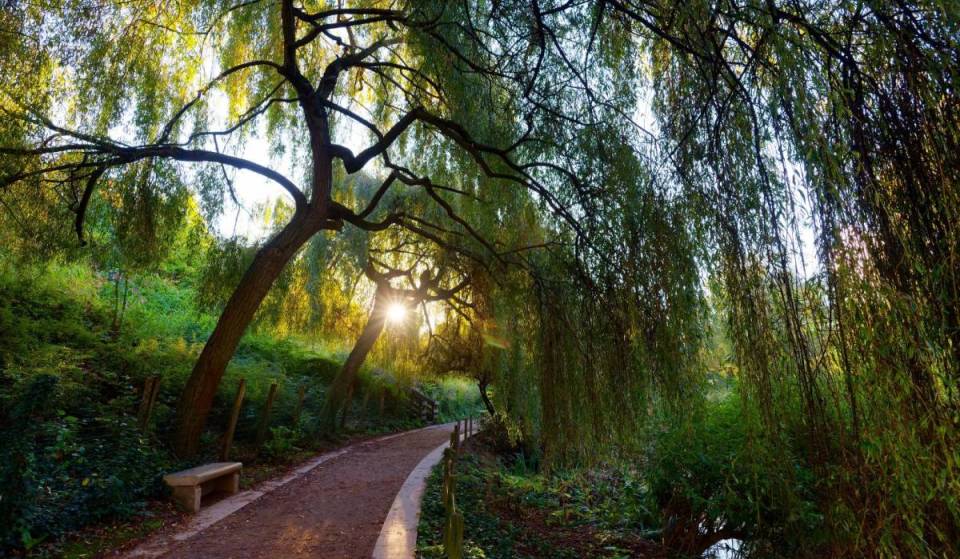 Dit park van 14 hectare is veel minder druk dan het Parc Monceau en is een van de mooiste groene oases van Parijs om deze zomer even aan de hitte te ontsnappen