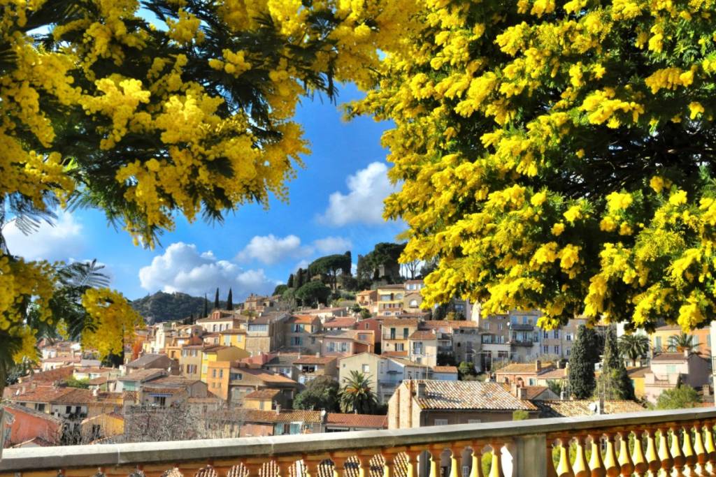 Umgeben von Mimosen ist dieses wunderschöne Bergdorf in der Provence der perfekte Ort für einen Sommerurlaub – und es wurde gerade zum „Lieblingsdorf der Franzosen“ gewählt