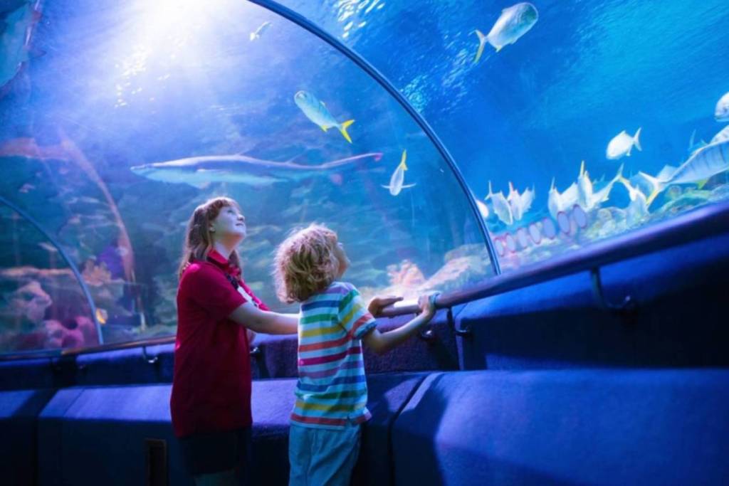 Ouvert depuis plus de 150 ans à Paris, cet aquarium souterrain de 3 500 m² est le plus vieux du monde et cache un incroyable univers sous terre