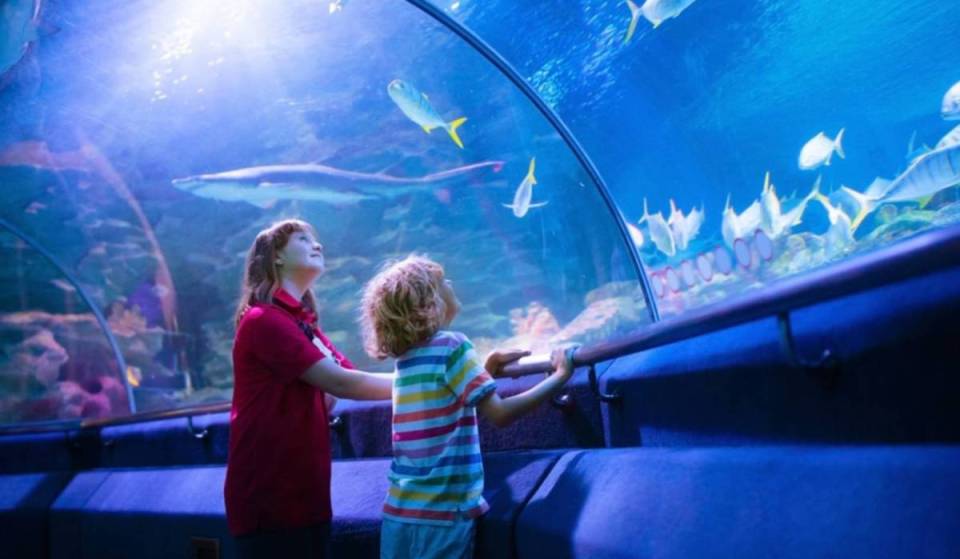 Aperto da oltre 150 anni a Parigi, questo acquario sotterraneo di 3.500 m² è il più antico del mondo e nasconde un incredibile universo sotterraneo