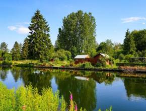 Just an hour from Paris, these 300 hectares of floating gardens can be explored by boat