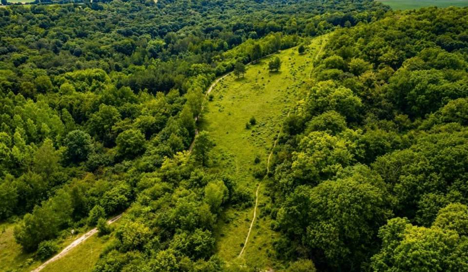 Nur eine Stunde von Paris entfernt verbirgt dieser Wald im Vexin eine über 4.000 Jahre alte Grabstätte