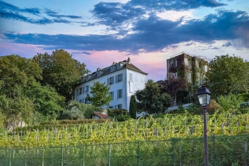 Montmartre vineyards