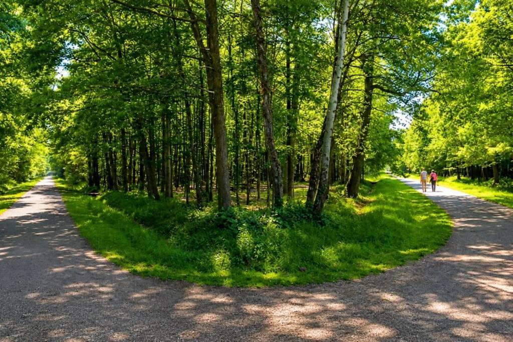 Wald Grosbois
