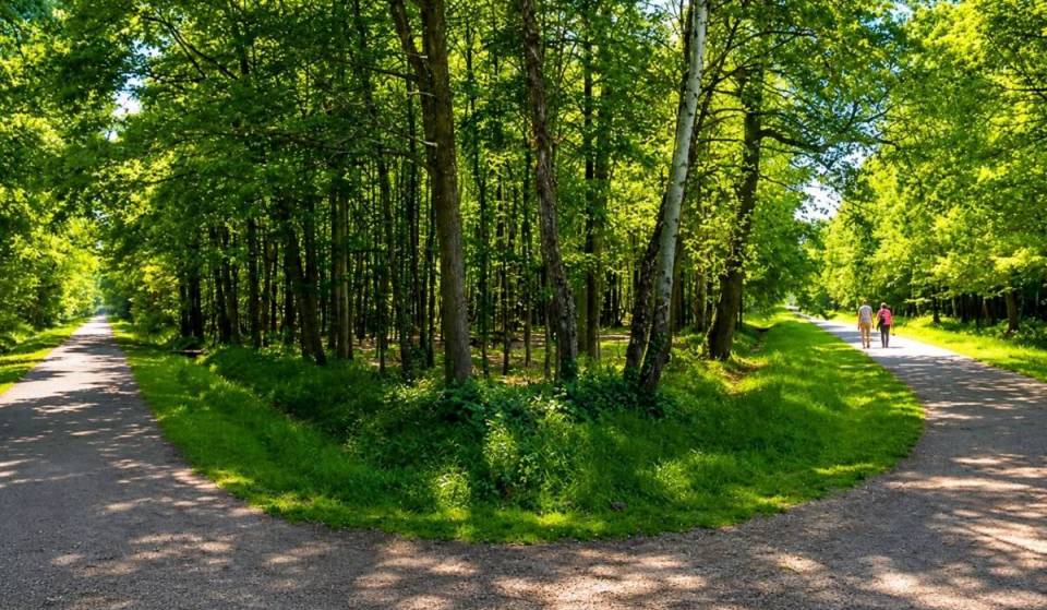 Just 15 minutes from the RER A, this 721-hectare forest is home to a giant 400-year-old oak tree