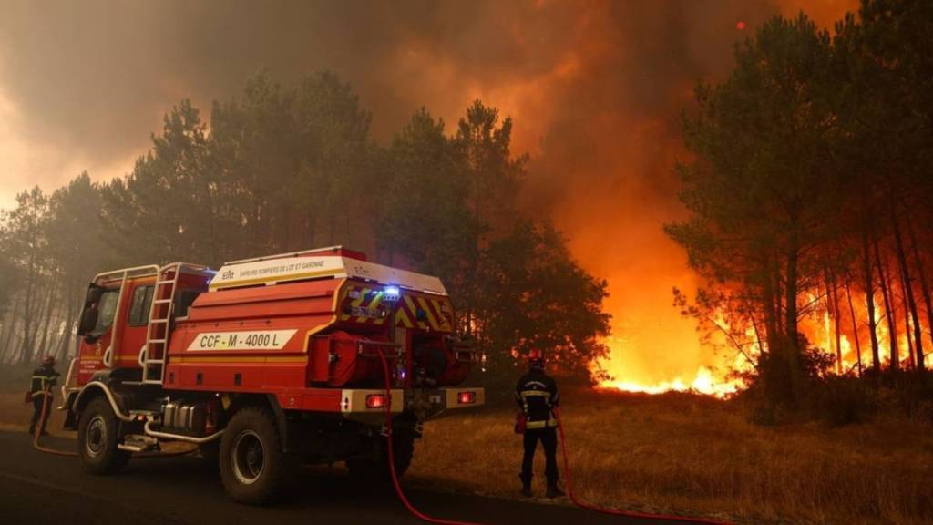 Incendios en Francia, Gironda: ¿cómo ayudar? 7 asociaciones