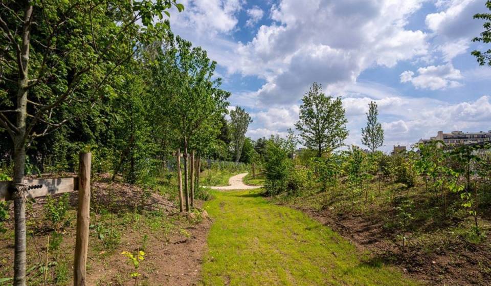 « 7 500 arbres ont été plantés » : cette nouvelle forêt de 3,5 hectares se cache sur l’ancienne Petite Ceinture à Paris