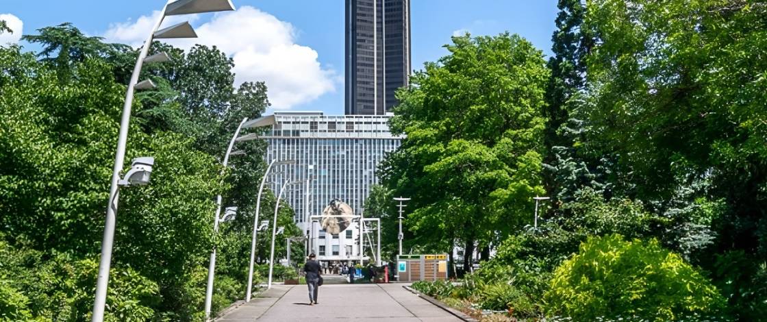 Nur wenige Pariser wissen es, aber über dem Bahnhof Montparnasse verbirgt sich ein riesiger, 3,5 Hektar großer Garten, der das ganze Jahr über kostenlos zugänglich ist