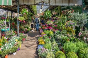 Este magnífico mercado de flores de estilo Art Nouveau, abierto todos los días del año, tiene más de 200 años y es el más antiguo de París