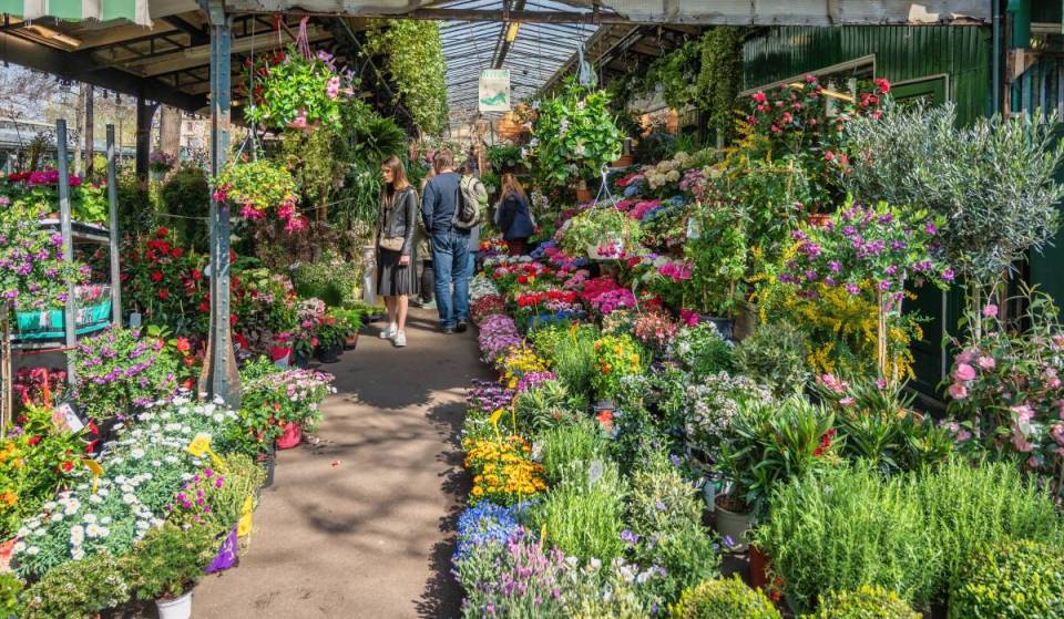 This magnificent Art Nouveau-style flower market, open every day of the year, is over 200 years old and is the oldest in Paris