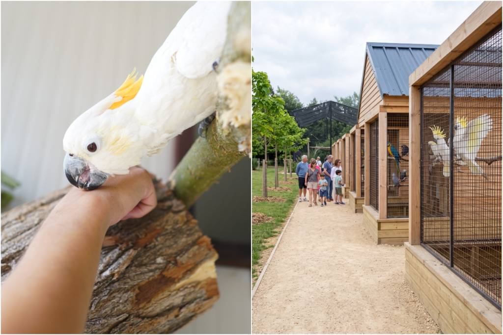 Parrot World – Santuario dei pappagalli