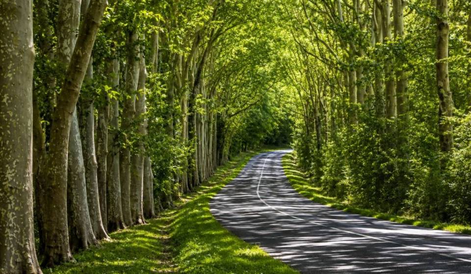 À 30 km de Paris, cette forêt cache des tranchées de 1915 et une ancienne tour militaire de 16 mètres