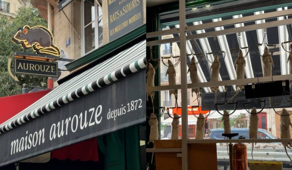 Maison Aurouze Paris : vidéo de la boutique Ratatouille