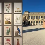 Video van de tentoonstelling in het Natuurhistorisch Museum