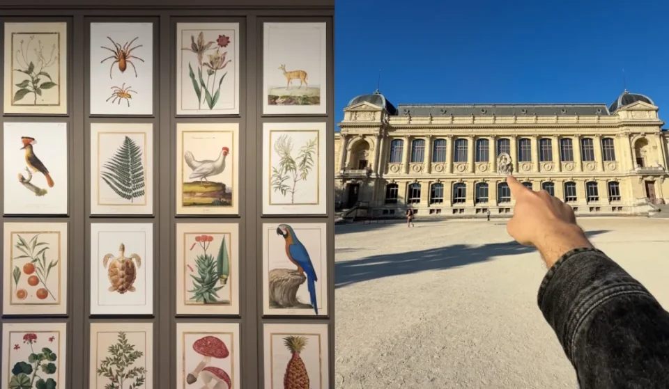 Vídeo de la exposición del Museo de Historia Natural