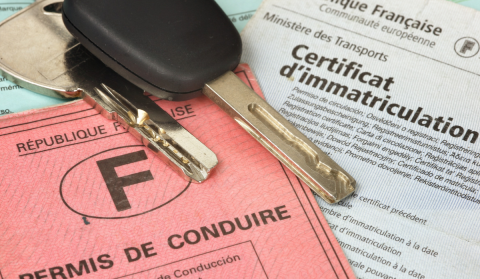The End of the Pink License: When Do You Need to Replace Your Old License? Here’s the Deadline.